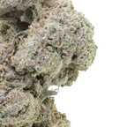 Lemon Haze