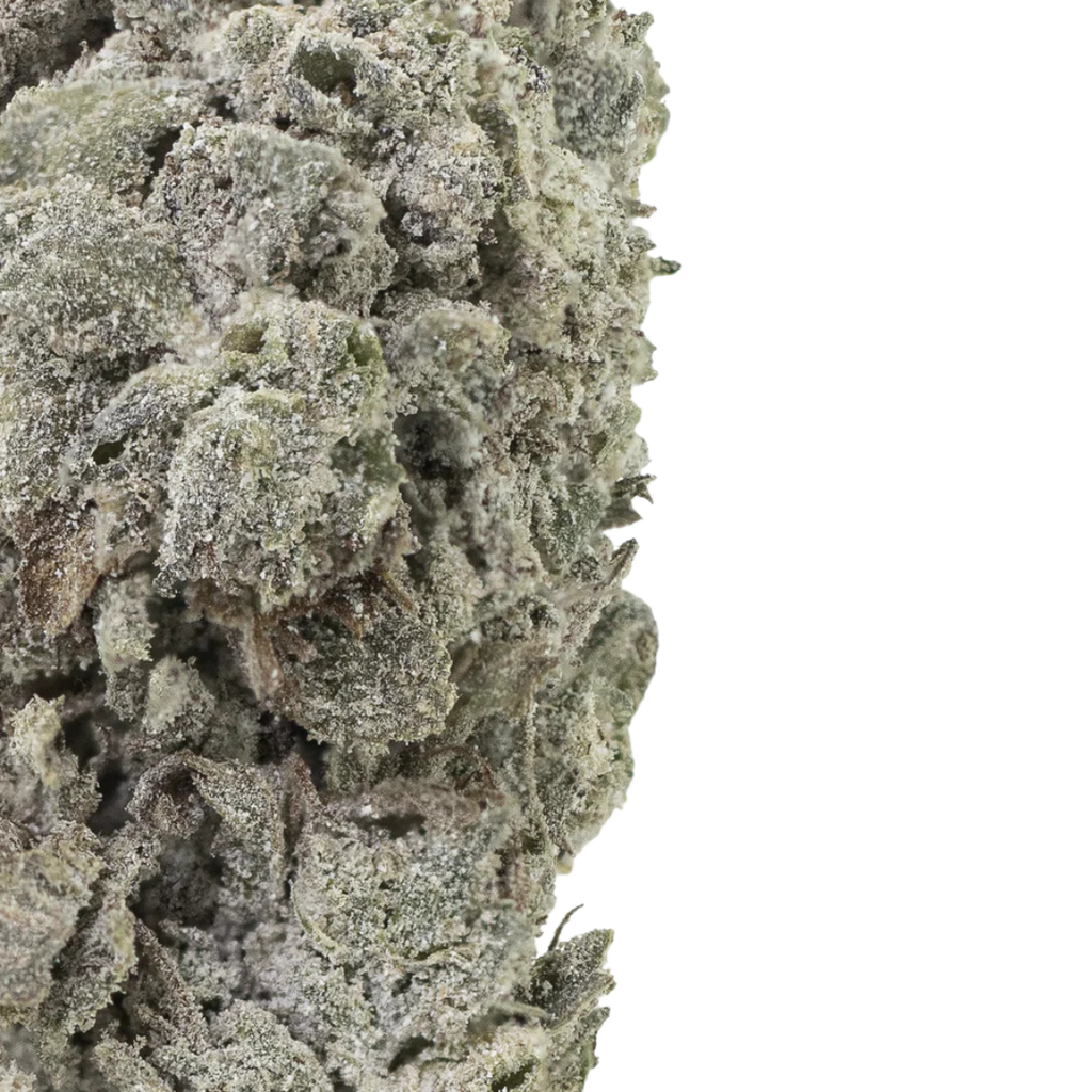 Amnesia Haze