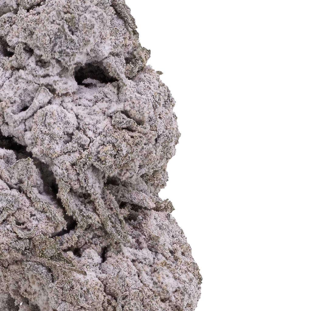 OG Kush