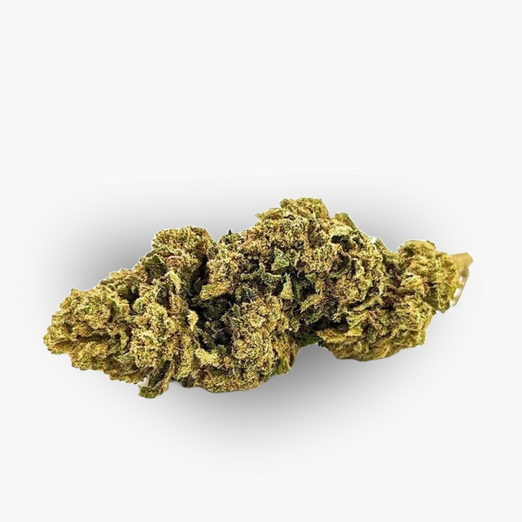 Tropical Punch 14 %