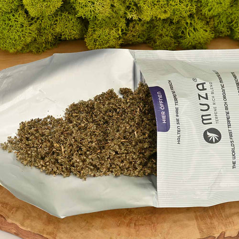 Tabakersatz – Rauchfreie Alternativen ohne Tabak